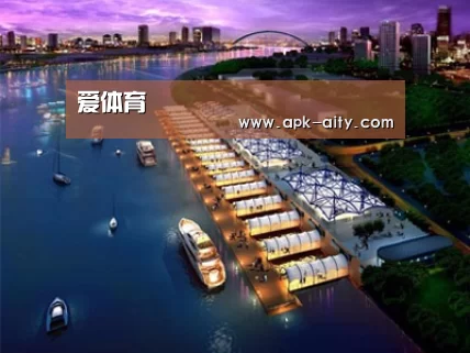 案例展示八